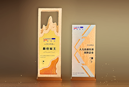 777盛世国际国际一举斩获“2024年度中国区最佳雇主”等多项大奖